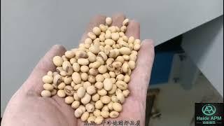 99.99% Soybean Gravity Separator Cleaning Sorting Grading Machins