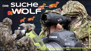 Wir suchen den Wolf! - Naturfotografie mit @nicosonnabend