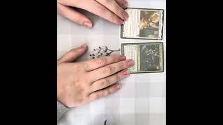 Yoshimaru, Ever Faithful EDH deck tech