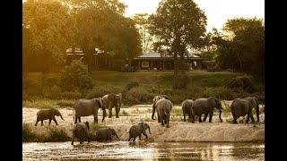 A Day In The Life on Safari at Mala Mala Game Reserve - Sabi Sands, South Africa / African Safari