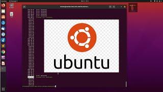 Web Development setup on Linux (ubuntu) - git, nodejs, npm, vsCode