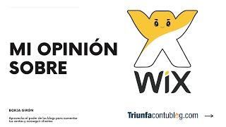 Opinión Wix