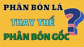 Thắc mắc phân bón dạng nước, phân bón lá có thể thay thế cho phân bón gốc được hay không?