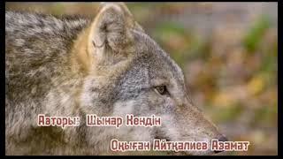 "Түртпектей бермеңдер, күшігін алдырған қасқырды!" Авторы Шынар Кендін