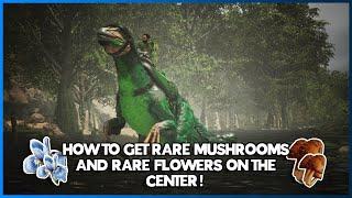 How to get rare mushrooms and rare flowers on the center {Ark Survival Ascended}