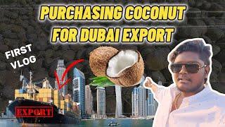 Vlog 1- Purchasing Coconut for Dubai Export #business #export #dubai