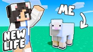 Minecraft BUT I'M A SHEEP! New Life SMP #5