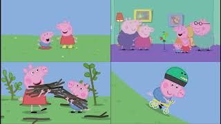 Peppa Pig (All 4 Episodes) Quadparsion 1