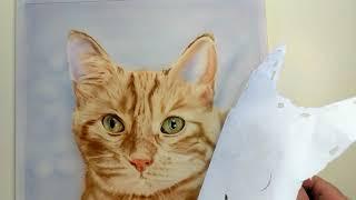 Painting a realistic cat using an airbrush...making the background lighter