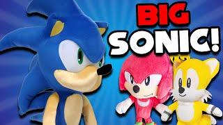 Big Sonic! - Super Sonic Calamity