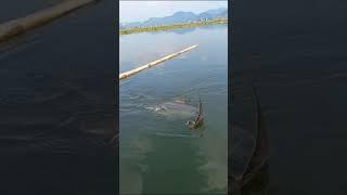 mancing ikan di danau Jatiluhur Purwakarta..mantap luur