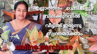 എല്ലാത്തരം ചെടികളും വീട്ടിൽ ഇരുന്നു സ്വന്തമാക്കാം /online purchase of all kind of plants