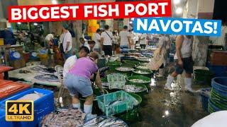 Real Life at 3AM in NAVOTAS FISH PORT | Biggest Fish Port & Seafood Market in the Philippines