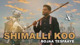 Bojaa Tesfaaye-Shimalli koo (Official Video)