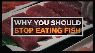 Why You Should Stop Eating Fish