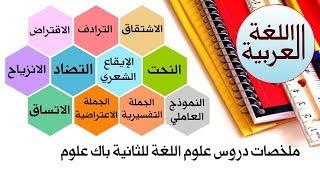 ملخصات الدروس اللغوية للثانية باك علوم | اللغة العربية