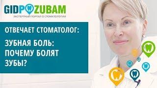  Почему возникает зубная боль и что делать?