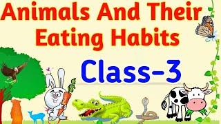Animals and their eating habits|| Class 3 || Feeding habits of animals || Science