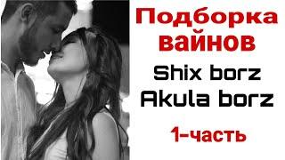 Shix borz & Akula borz | ТОП вайнлар