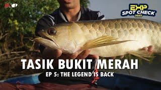 KHAZANAH NEGARA : IKAN AROWANA TASIK BUKIT MERAH, PERAK [EXP SPOTCHECK EP 5]