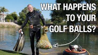 What Happens to Your Golf Balls After They Land in the Water?