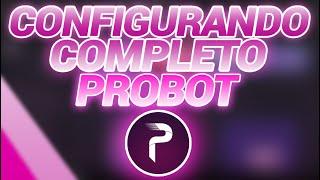 COMO CONFIGURAR O PROBOT no DISCORD COMPLETO│Fake_BRYT