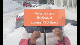 Qu’est-ce que BscScan et comment l’utiliser ?