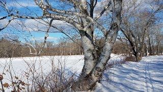 Penobscot River Trails Ski Trip