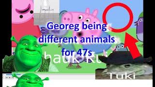 George best animal moments compilation