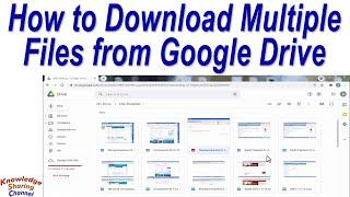 How to Download Multiple Files from Google Drive