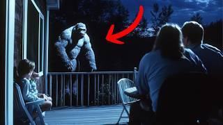 Actual Bigfoot Footage Is The MOST Convincing Proof Yet