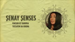 Şenay Şenses - Tuzlayım da Kokma (Official Audio)