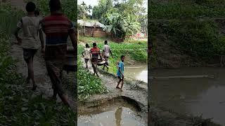 Amazing village women net fishing #shorts