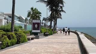 Realität Maspalomas 23.7.24  Wildrosenöl oder Öl der Rosa Mosqueta...gut und günstig im Mercadona..