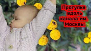 Nature of Moscow region. Family walk. ASMR video. Russian forest. Life in Russia