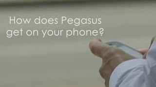 Breakdown on Pegasus: a software governments are accused of using to spy on citizens