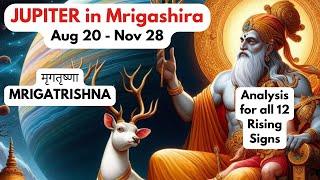 Jupiter in MRIGASHIRA (Aug 20 - Nov 28)