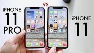 iPhone 11 Vs iPhone 11 Pro In 2022! (Comparison) (Review)