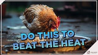 8 Ways to Keep Your Hens Cool During The summer