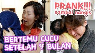 TANGIS HARU!! Pertama Kali Kakek Nenek Korea Ketemu Cucu Datang Dari Indonesia 