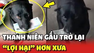 Thanh niên Gấu trở lại với màn CẦM TIỀN mua xúc xích ĐẲNG CẤP hơn  | Yêu Lu