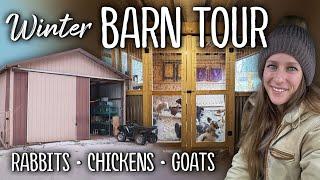 BARN TOUR - Meat rabbits, goats, chickens, & more (Winter 2024)