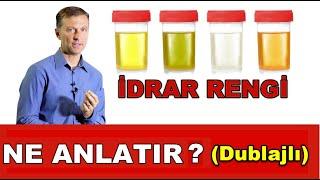 (Dublajlı) İdrarınızın Rengi Vücudunuz Hakkında Size Ne Anlatır #idrar rengi