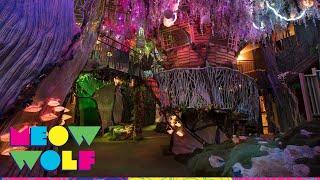 Behind the Scenes — The Forest  | Meow Wolf