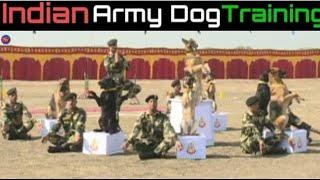 BSF Dog Training Video || Border Security Force Training ll Indian Army and Security Forces