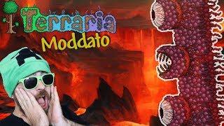 Wall of Flesh! Si va in Hardmode! Terraria Moddato E15