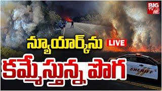 న్యూయార్క్‌ను కమ్మేస్తున్న పొగ LIVE | Dense Fog In New York City | BIG TV