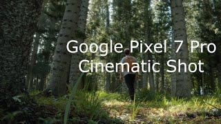 Google Pixel 7 Pro | Cinematic shot | 4K