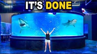 My 30,000G Shark Tank Is Finished!