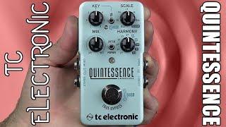 TC Electronic Quintessence Harmony Demo & Review - Stompbox Saturday